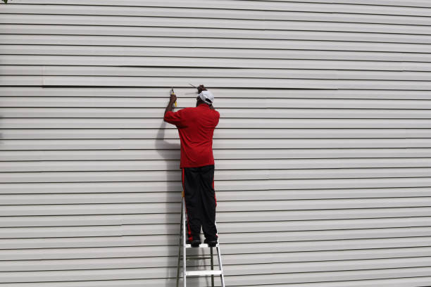 Best Vinyl Siding Installation  in Highland Heights, KY